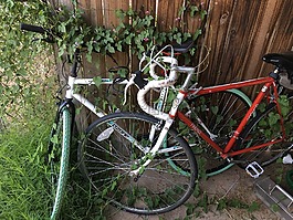 自行車,藤,叢生