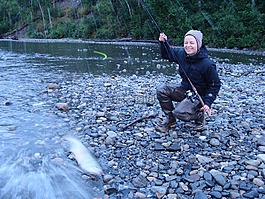 釣魚,阿拉斯加州,三文魚