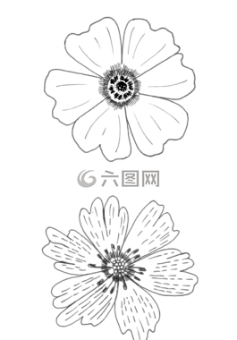 鮮花,01-02,圖形