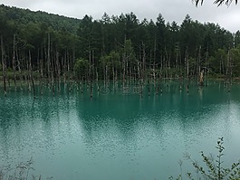北,海,道