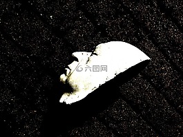石膏头,面具,脸