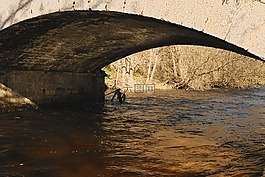 橋,河,水