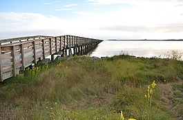 天鵝季度,木橋,北卡羅萊納州海岸