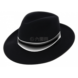 帽子,fedora,頭蓋