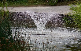 噴泉,公園,花園