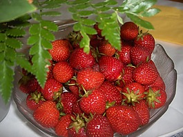 漿果,草莓,健康