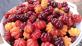 櫻桃,水果,紅色