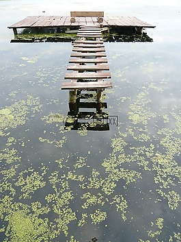 河,橋,景觀