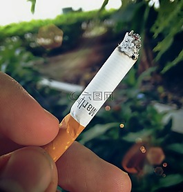 雪茄,香煙,吸煙
