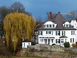首頁(yè),別墅,建設(shè)