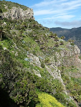 加那利群島,景觀,性質(zhì)