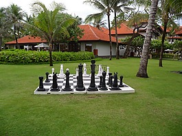 棋牌,花園,游戲