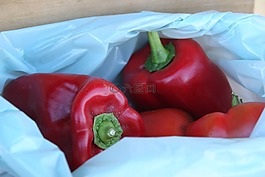 辣椒,胡椒,蔬菜