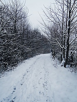 冬天,路径,打印