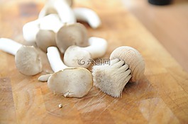蘑菇,畫筆,董事會(huì)