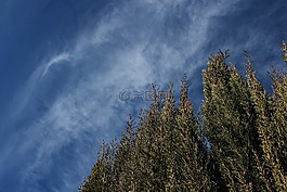 天空,云,景觀