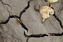干,沙漠,熱