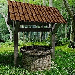 井,性質(zhì),森林