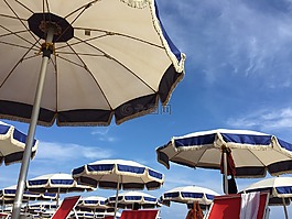 梧桐,空氣,假日
