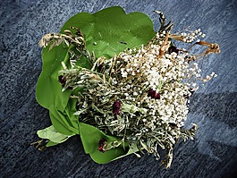 日落,死花,靜物