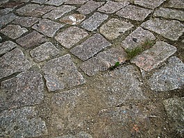 路,离,石