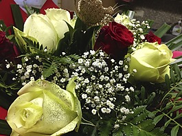 鲜花,玫瑰,weis