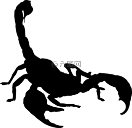 側(cè)影,蝎子,孤立