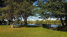 公園,春,夏天