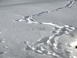 雪,冬天,地面