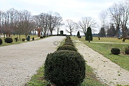 城堡公園,灌木,離