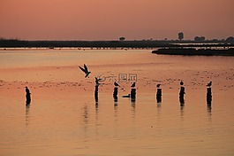 日落,伊茲密爾,太陽能