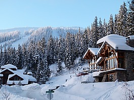 晚間,冬天,雪