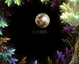 分形,林分形,夜森林