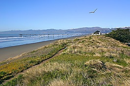 新布赖顿,海滩,基督城