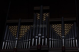 器官,音樂,教堂