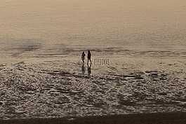 海灘,景觀,性質(zhì)