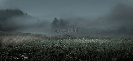 上午,霧,景觀