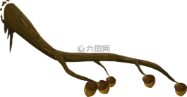 樹,分支機構(gòu),橡子