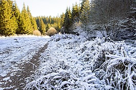 凍結(jié),雪,秋天