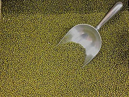 爆米花豆,绿色,干