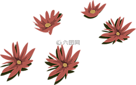 紅色,睡蓮,鮮花
