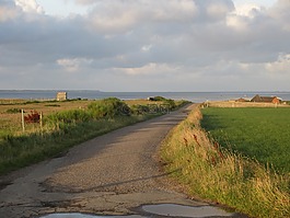 路,海灘,天空