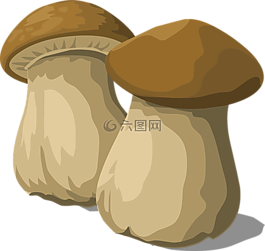 牛肝菌,蘑菇,菌類