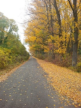 行人路,径,走道