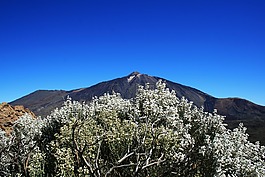加那利群島,泰德國家??公園,特內(nèi)里費(fèi)