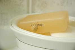soap,蛾,昆蟲(chóng)