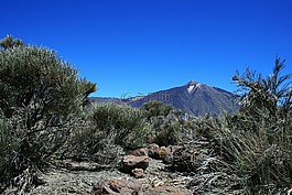 加那利群島,泰德國家??公園,特內(nèi)里費