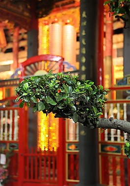臺灣,廟,佛教