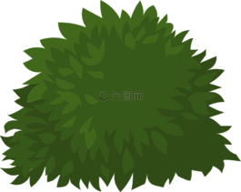 綠色,植物,葉子