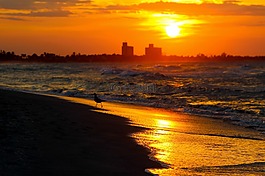 太陽,日落,海
